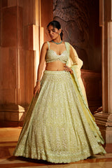 Lime Green Tulle Lehenga Choli Dupatta Set