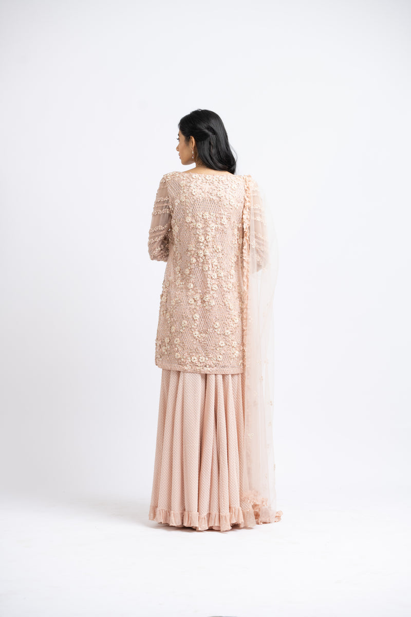 Blush Pink Kurta Sharara Set