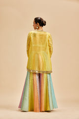 Multi Colour Mirror Work Sharara With Jacket