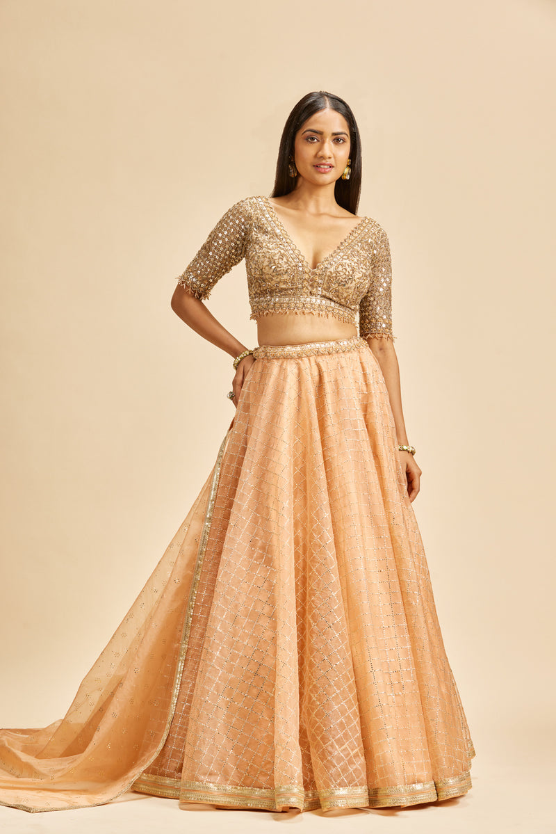 Peach Organza Lehenga With Gold Choli