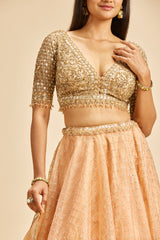 Peach Organza Lehenga With Gold Choli