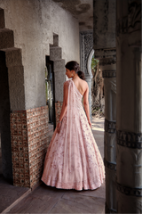 Blush Pink Gown Set